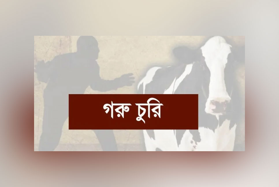 শরণখোলায় একরাতে দুই কৃষকের ৪ গরু চুরি