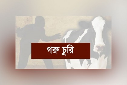 শরণখোলায় একরাতে দুই কৃষকের ৪ গরু চুরি