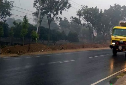 দিনাজপুরে গুঁড়ি গুঁড়ি বৃষ্টি, দুশ্চিন্তায় কৃষক