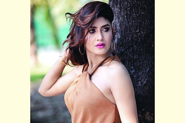 সেরা রাঁধুনির খোঁজে