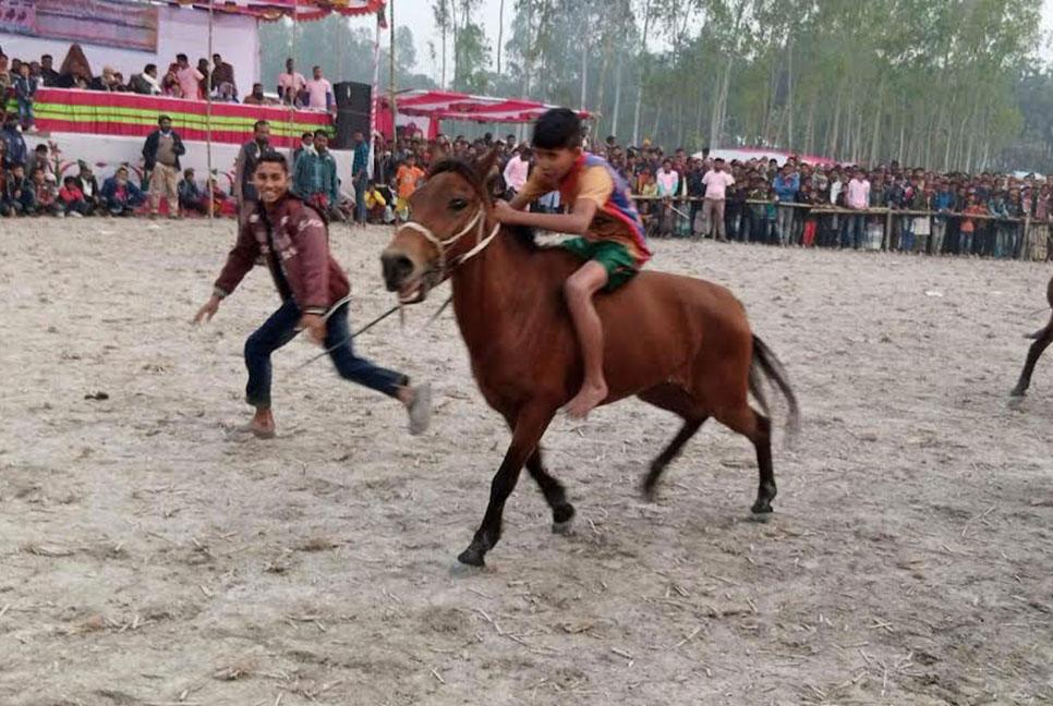ফুলবাড়ীতে ঘোড়দৌড় প্রতিযোগিতায় মানুষের ঢল