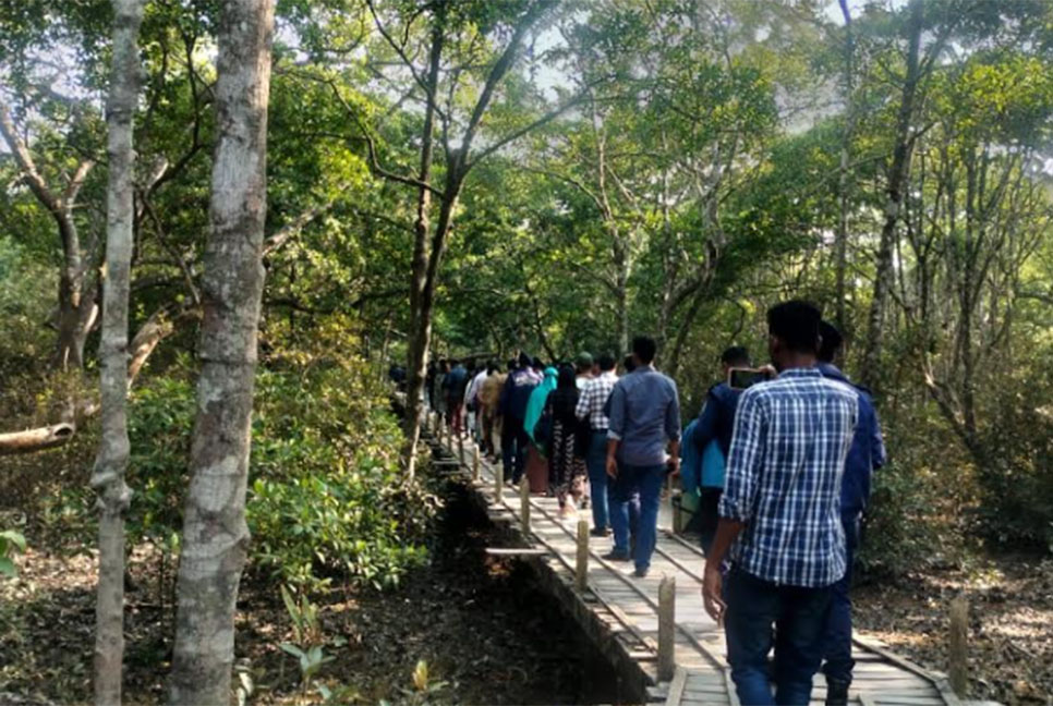নববর্ষ উদযাপনে সুন্দরবনে পর্যটকের ঢল 