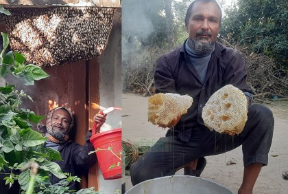 যেখানে মৌচাক সেখানেই রহিজ উদ্দিন