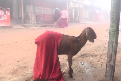 কনকনে শীতে কাঁপছে কুড়িগ্রাম