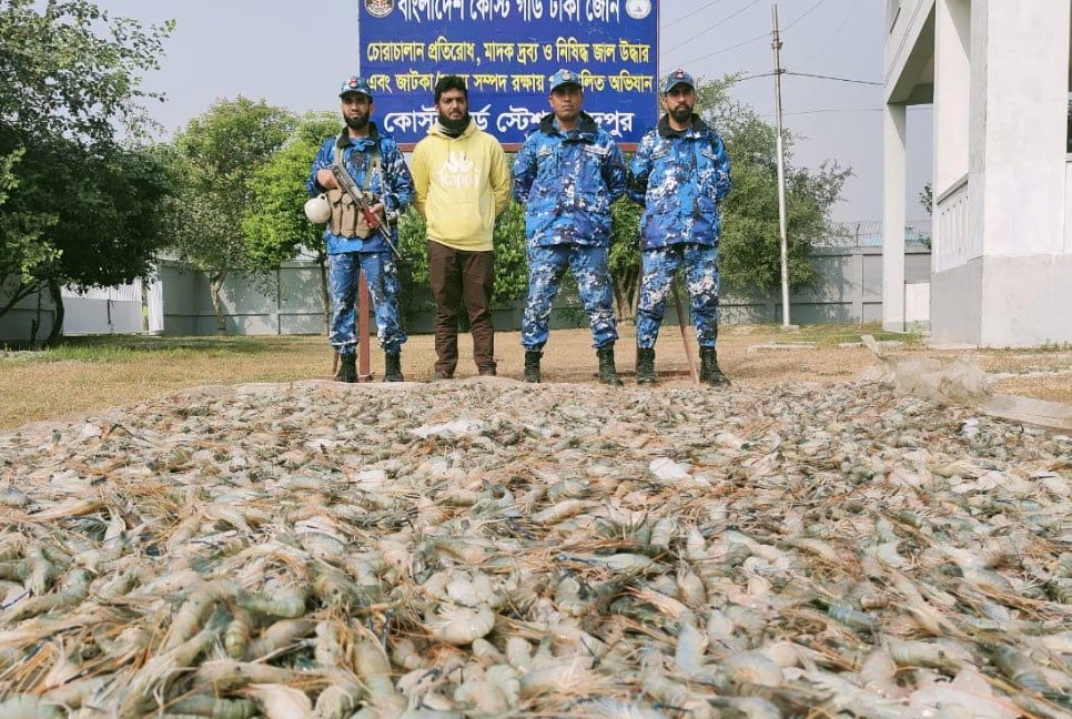 চাঁদপুরে জেলিযুক্ত চিংড়ি জব্দ