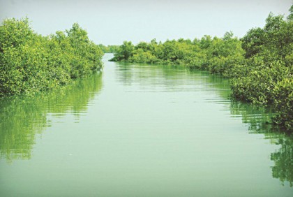 অনুমতি ছাড়া সোনাদিয়া দ্বীপে রাত্রিযাপন করতে পারবেন না পর্যটকরা