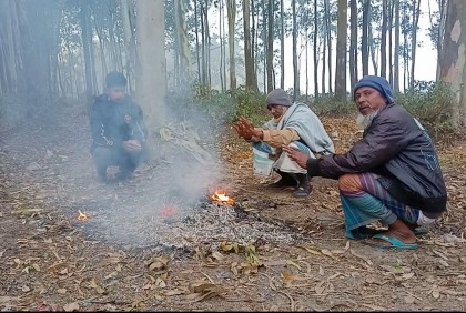 হিমেল হওয়া ও ঘন কুয়াশায় কাবু লালমনিরহাটের মানুষ