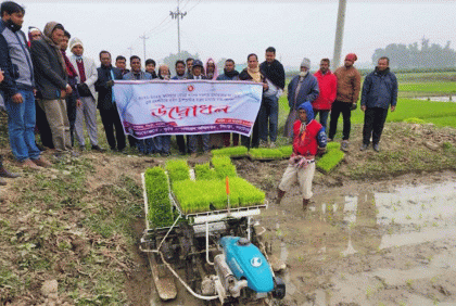 সিংড়ায় রাইস ট্রান্সপ্লান্টারের সাহায্যে ধানের চারা রোপন