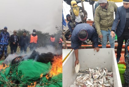 জাটকা নিধন, দুইটি নৌকা জব্দ