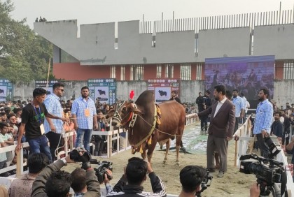 ক্যাটল এক্সপো: নেইমার-মেসির ক্যাটওয়াক!