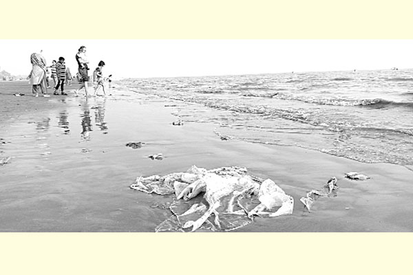 প্লাস্টিক-পলিথিন বর্জ্যে হুমকিতে কুয়াকাটা সৈকত
