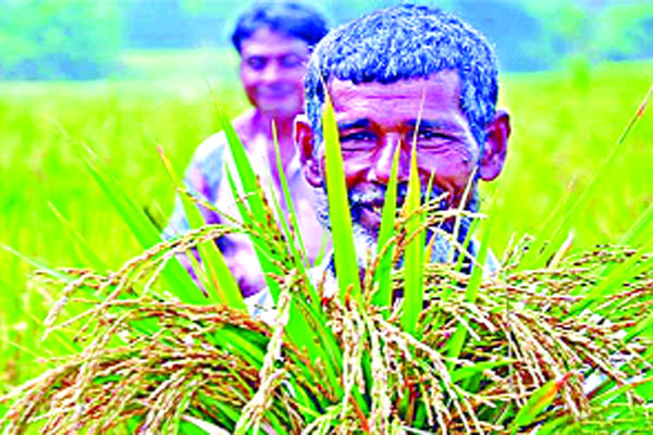 কৃষি প্রক্রিয়াজাত শিল্পে আগ্রহ বিদেশিদের