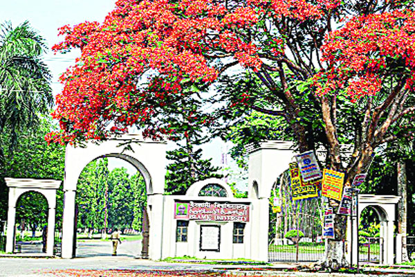ইবিতে এখনো ৫২৯ আসন ফাঁকা