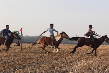 সখীপুরে গ্রামীণ ঐতিহ্যের ঘোড়দৌড় প্রতিযোগিতা
