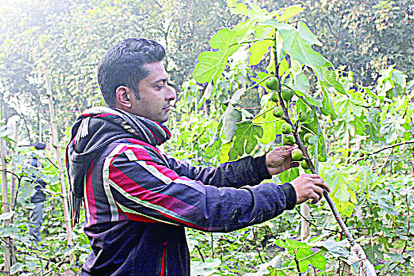 ৩০ প্রজাতির ফল এক বাগানে
