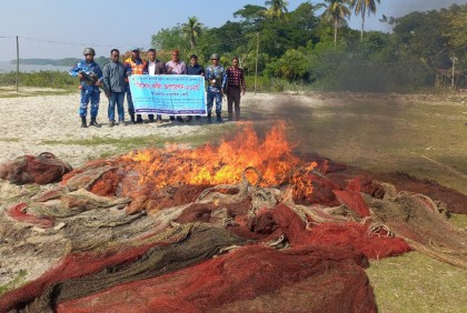 মোরেলগঞ্জে ৪ লাখ টাকার জাল ধ্বংস