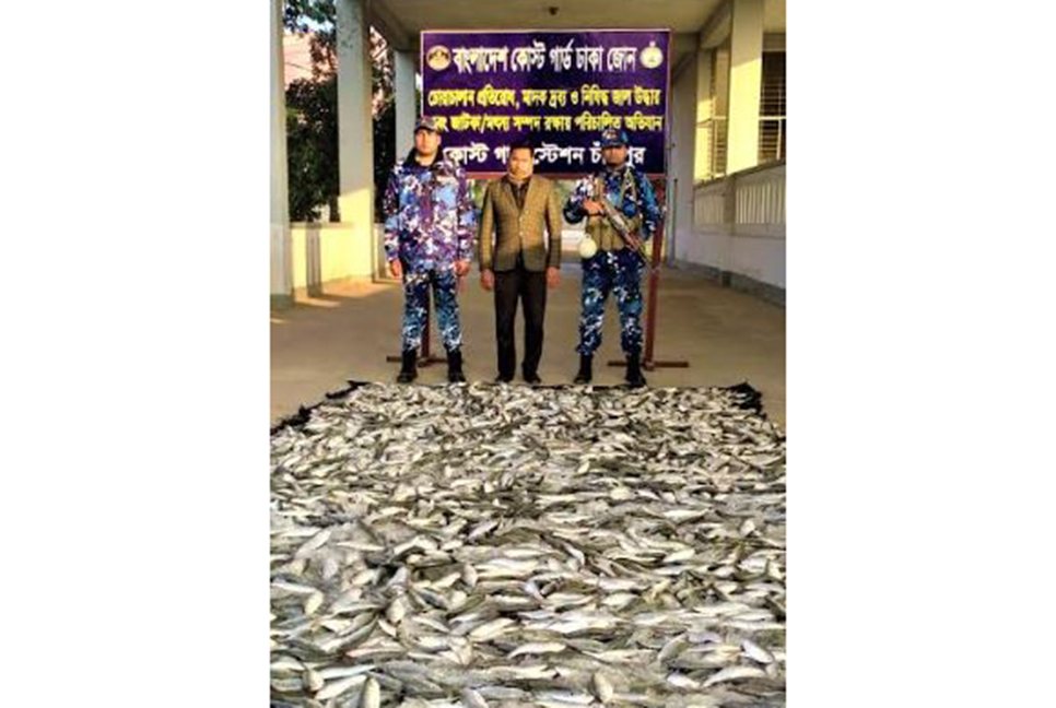 চাঁদপুরে ৭২০ কেজি জাটকা জব্দ
