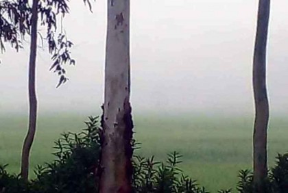 দিনাজপুরে শৈত্যপ্রবাহ অব্যাহত, জনজীবন বিপর্যস্ত