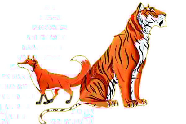 বাঘ শেয়ালের লড়াই