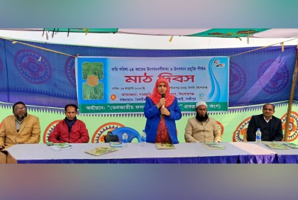 ‘কিশোরগঞ্জের হাওরে বোনাস ফসল হিসেবে সরিষা চাষে বিপ্লব ঘটেছে’