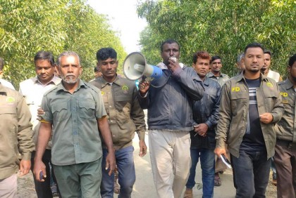 লোকালয়ে দু’টি বাঘ ঢুকে পড়ার খবরে শরণখোলায় আতঙ্ক