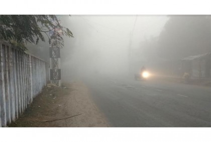 ঘন কুয়াশায় ঢেকে আছে চুয়াডাঙ্গা