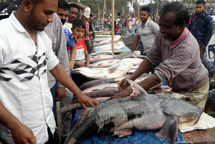 হবিগঞ্জে ঐতিহ্যবাহী পইলের মাছের মেলা 