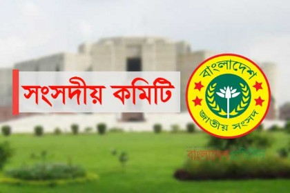 অস্বচ্ছল মুক্তিযোদ্ধাদের আবাসন প্রকল্প দ্রুত শেষ করার সুপারিশ