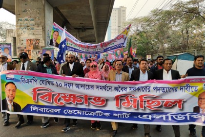 বর্তমান সরকার মুক্তিযুদ্ধের চেতনা ও গণতন্ত্রকে ধ্বংস করেছে: এলডিপি