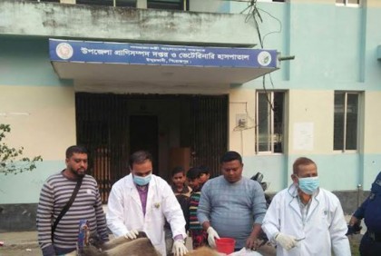 
হনুমান হত্যা করে মাটি চাপা দেয়ার অভিযোগ