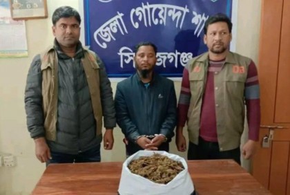 সিরাজগঞ্জে গাঁজাসহ মাদক কারবারি আটক