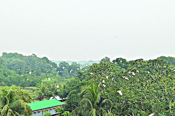 পানছড়িতে পাখির উৎসব