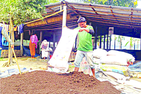 কেঁচো সারে বদলে গেছে মানিকের জীবন