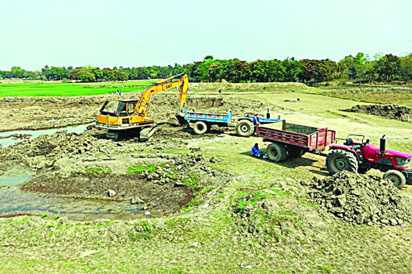 রাজশাহীতে এক বছরেই পুকুর খনন বেড়েছে তিন গুণ