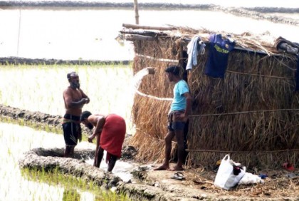 নাটোরে শীতেও লোডশেডিং, বোরো আবাদ ব্যাহত 