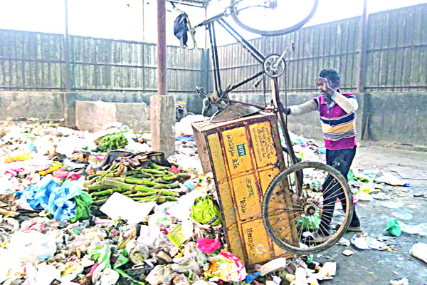 রাজশাহী যেভাবে পরিচ্ছন্ন নগরী