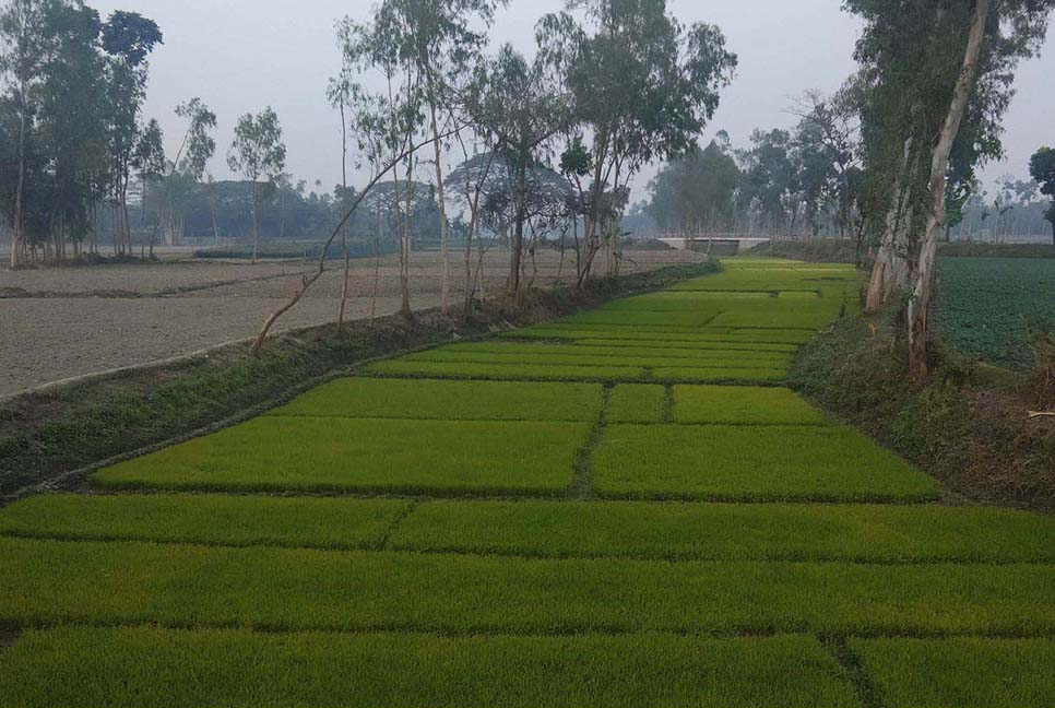 হারিয়ে যাচ্ছে মানাস, ঘাঘট, বুড়াইল ও শালমারা নদী