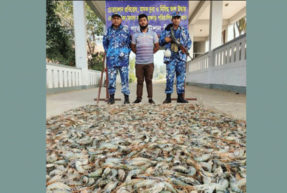 ১০ মণ জেলিযুক্ত চিংড়ি জব্দ
