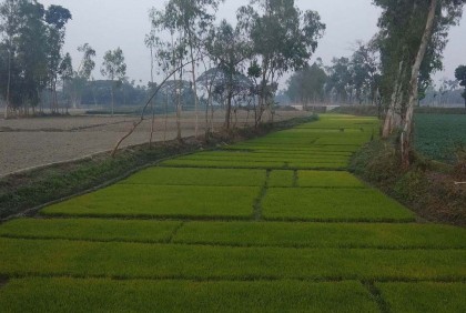 হারিয়ে যাচ্ছে মানাস, ঘাঘট, বুড়াইল ও শালমারা নদী