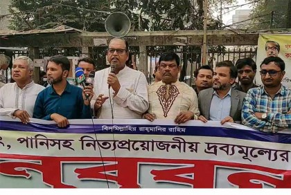 সরকার পতন ছাড়া জনগণের মুক্তি অসম্ভব : দুদু

