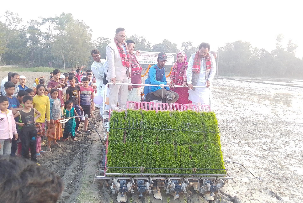 লাকসামে সমলয় পদ্ধতিতে চাষাবাদ উদ্বোধন