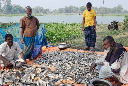 প্রতিহিংসার বিষে কৃষকের সর্বনাশ 