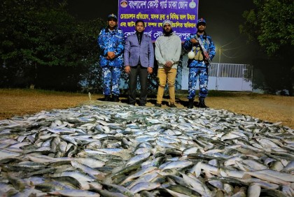 চাঁদপুরে ৪৪০ কেজি জাটকা জব্দ