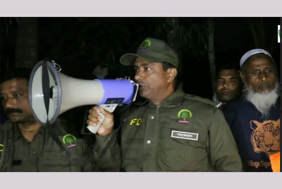 সুন্দরবনের লোকালয়ে দুই বাঘের গর্জন, আতঙ্কে গ্রামবাসী