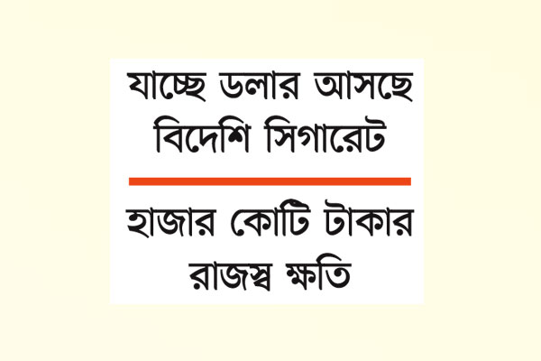 মিথ্যা ঘোষণার আমদানিতে সর্বনাশ
