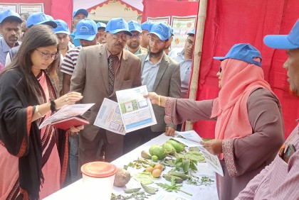ঝিনাইদহে কৃষি মেলা শুরু