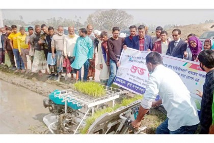 চিরিরবন্দরে রাইস ট্রান্সপ্লান্টারের মাধ্যমে ধানের চারা রোপণ 