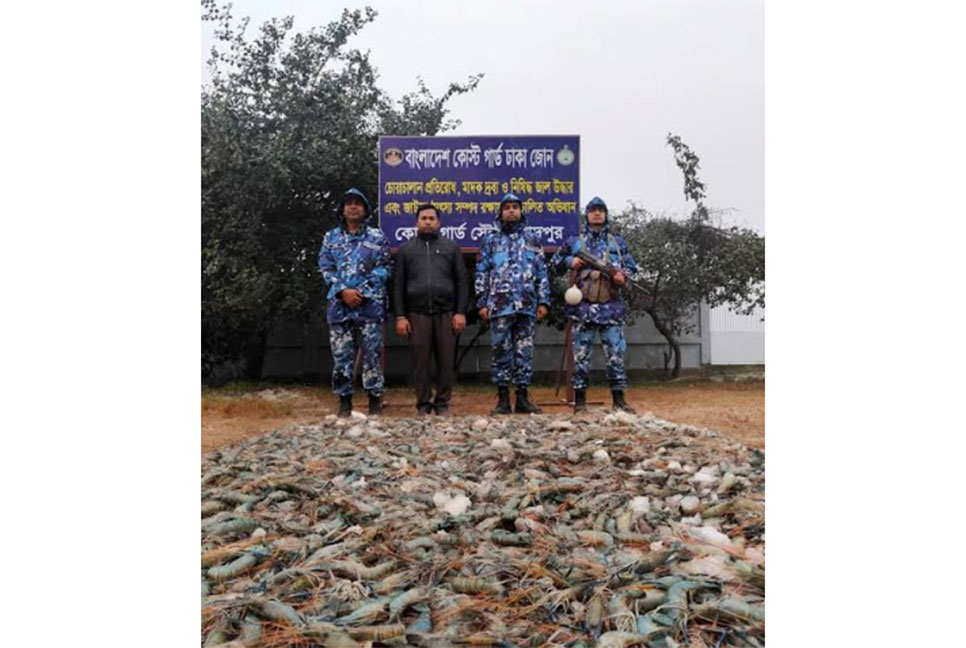 চাঁদপুরে ১৫ মণ জেলিযুক্ত চিংড়ি জব্দ
