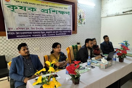 গোপালগঞ্জে জৈব ছত্রাক নাশক ব্যবহার নিয়ে কৃষক প্রশিক্ষণ