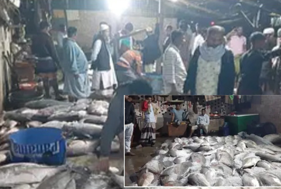জালে আটকা পড়া এক ঝাঁক মাছ বিক্রি হল ২৪ লাখ টাকায়!